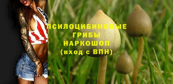 соль ск Заволжск